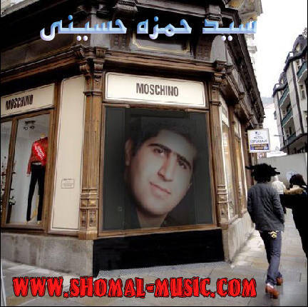 سید حمزه حسینی