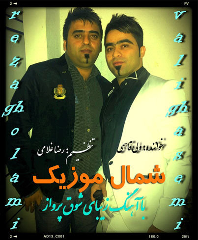 ولی قاسمی شوق پرواز