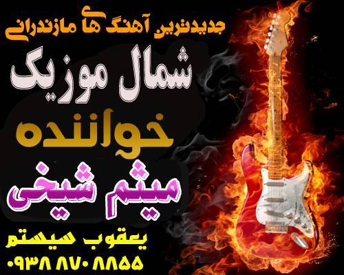 میثم شیخی