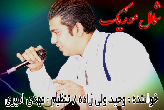 وحید ولی زاده