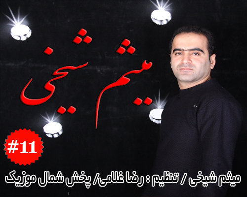 میثم شیخی
