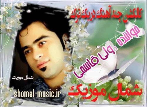 ولی قاسمی