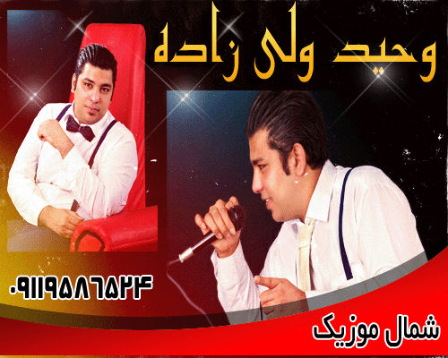 وحید ولی زاده