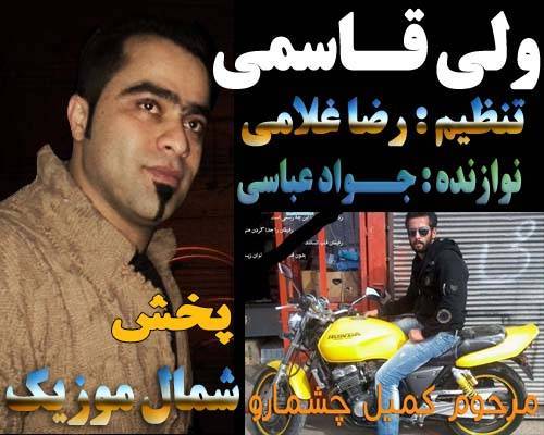 ولی قاسمی