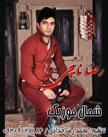 رضا نائیجی